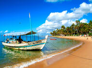 Praia do Forte - Verano 2025